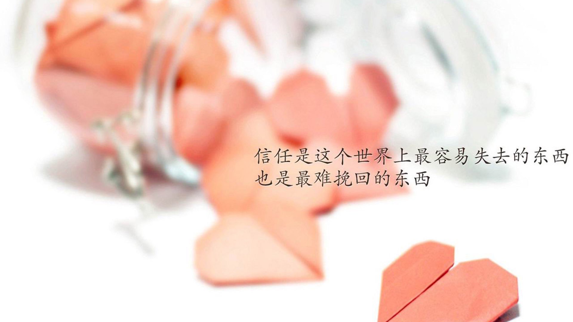 开云体育APP下载-“青训+智造”模式助推中国足球行业迈向全球竞争新高度，中国的足球青训体系