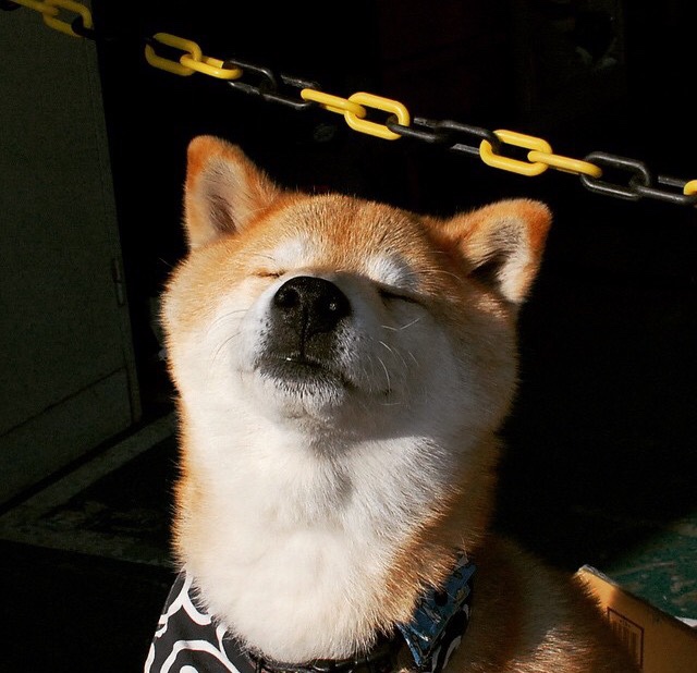 全民健身公共服务提质升级，满足群众多元需求，全民健身公共服务提质升级,满足群众多元需求