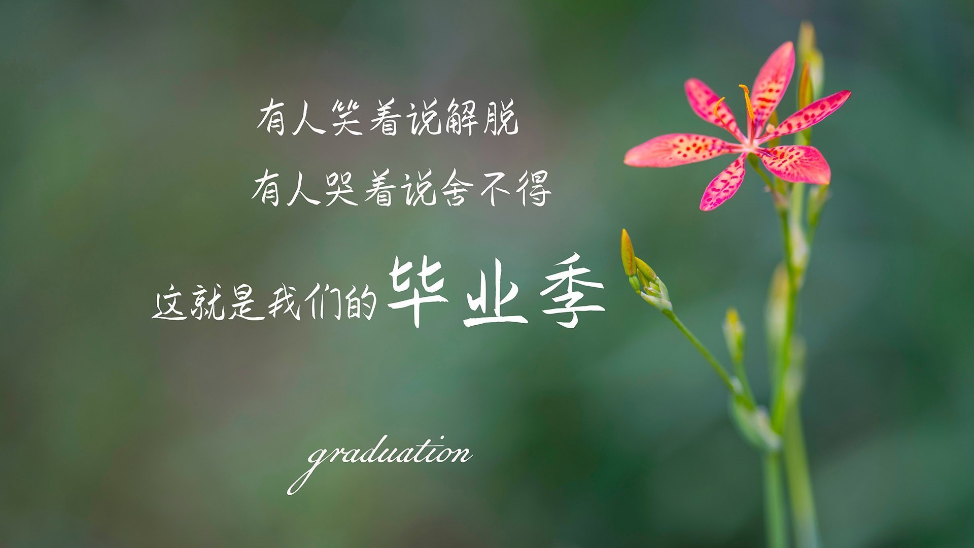 果园采摘运动会,结合采摘乐趣的休闲运动,果园采摘宣传文案