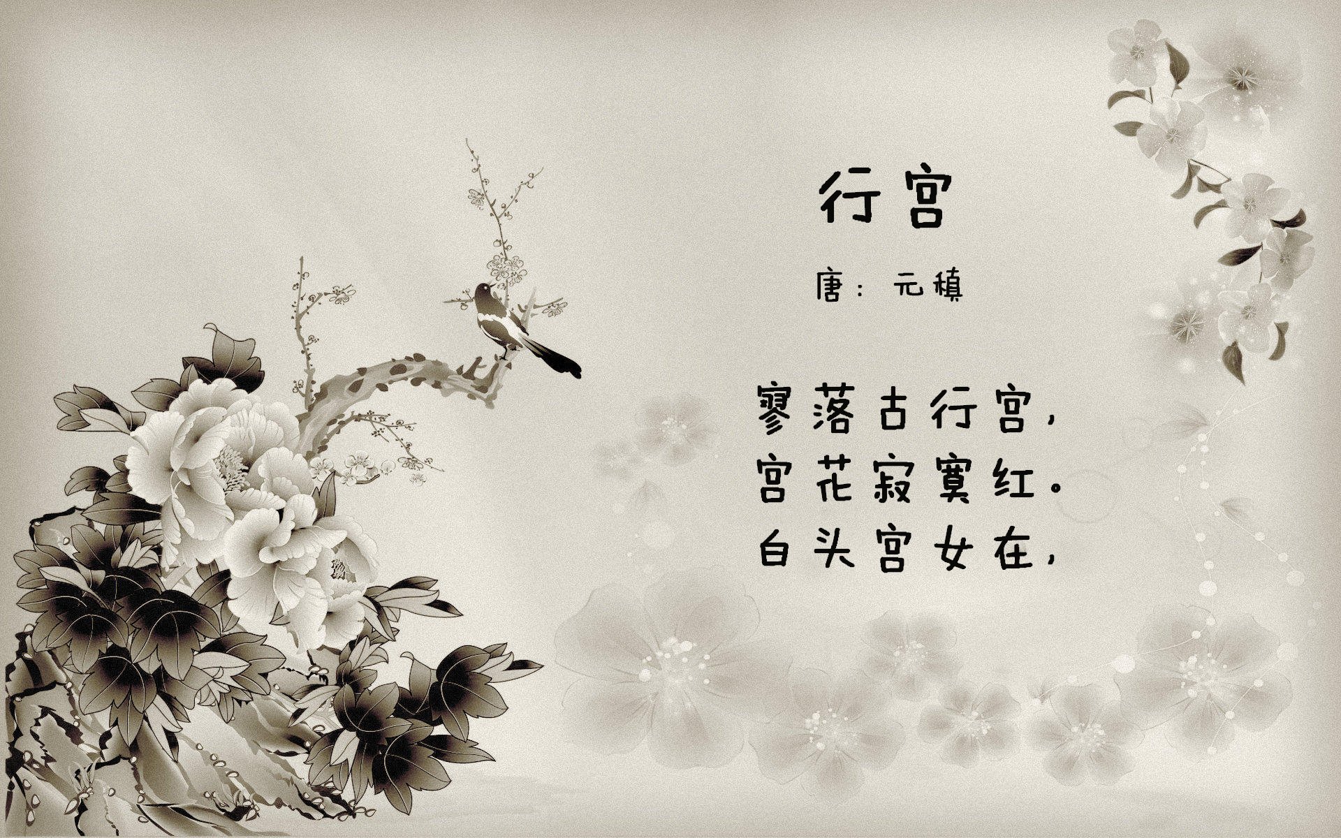 李明全场全面表现,砍下30+,成为本场MVP!,李明集锦