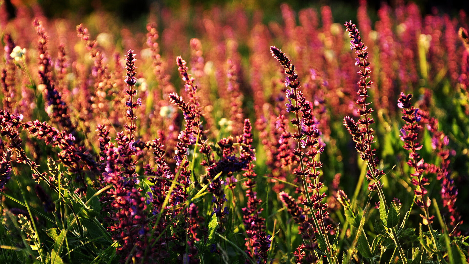 开云平台-电子竞技产业迎来新发展期，电竞赛事影响力不断扩大，电子竞技行业规模