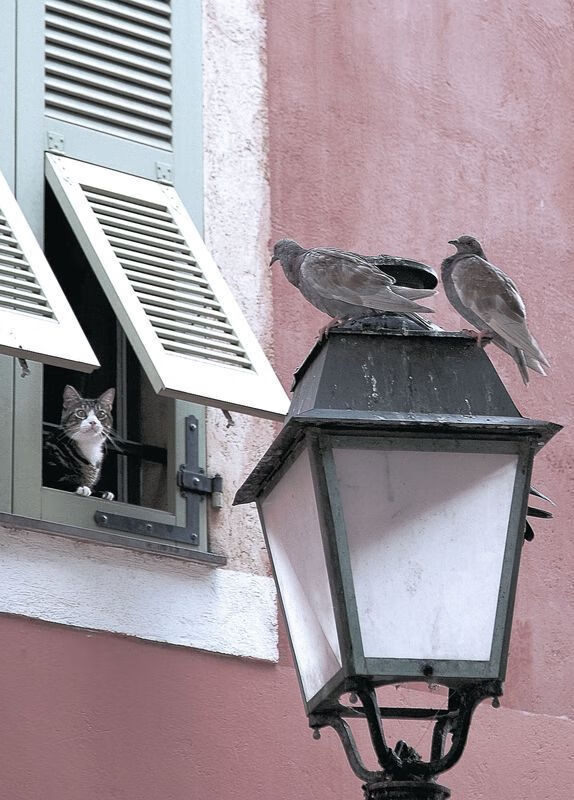 开云kaiyun-粉丝互动盛典：车迷见证冠军荣耀时刻，车是谁的粉丝名