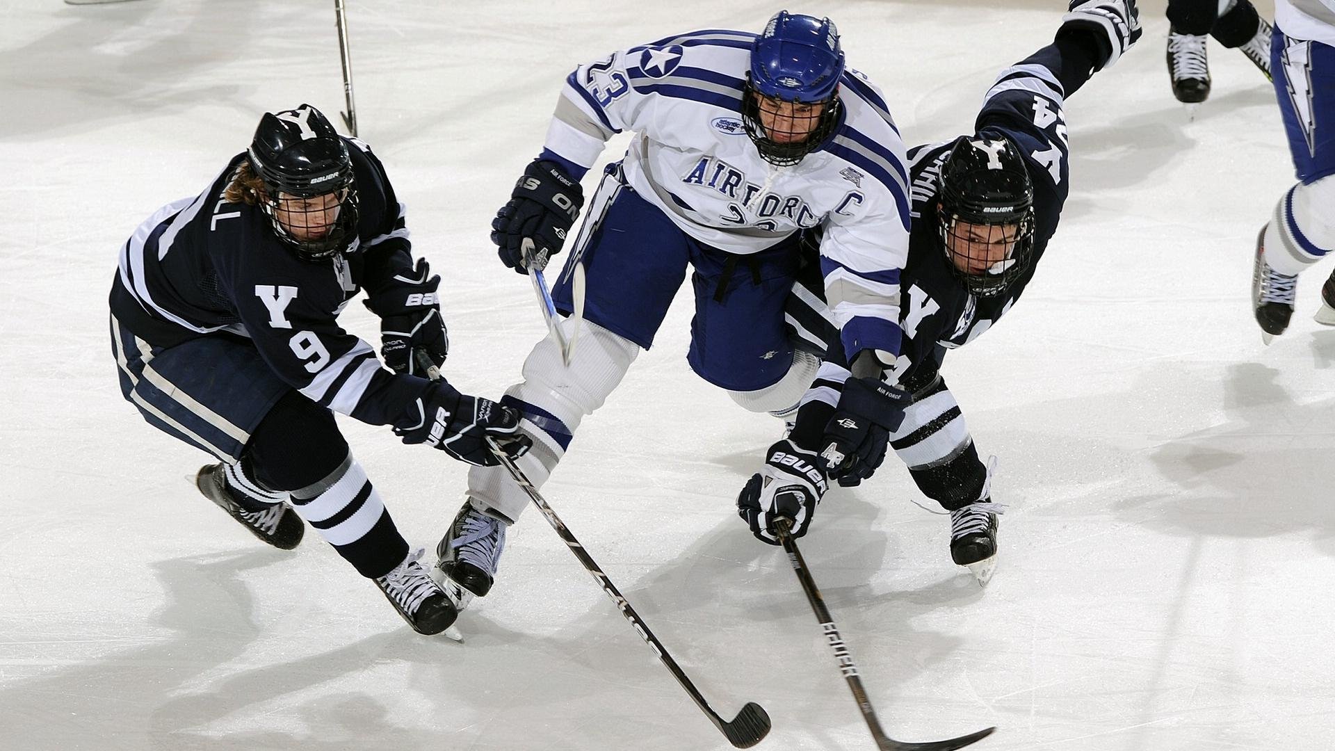 篮球裁判培训引入线上学习平台,篮球裁判培训课程