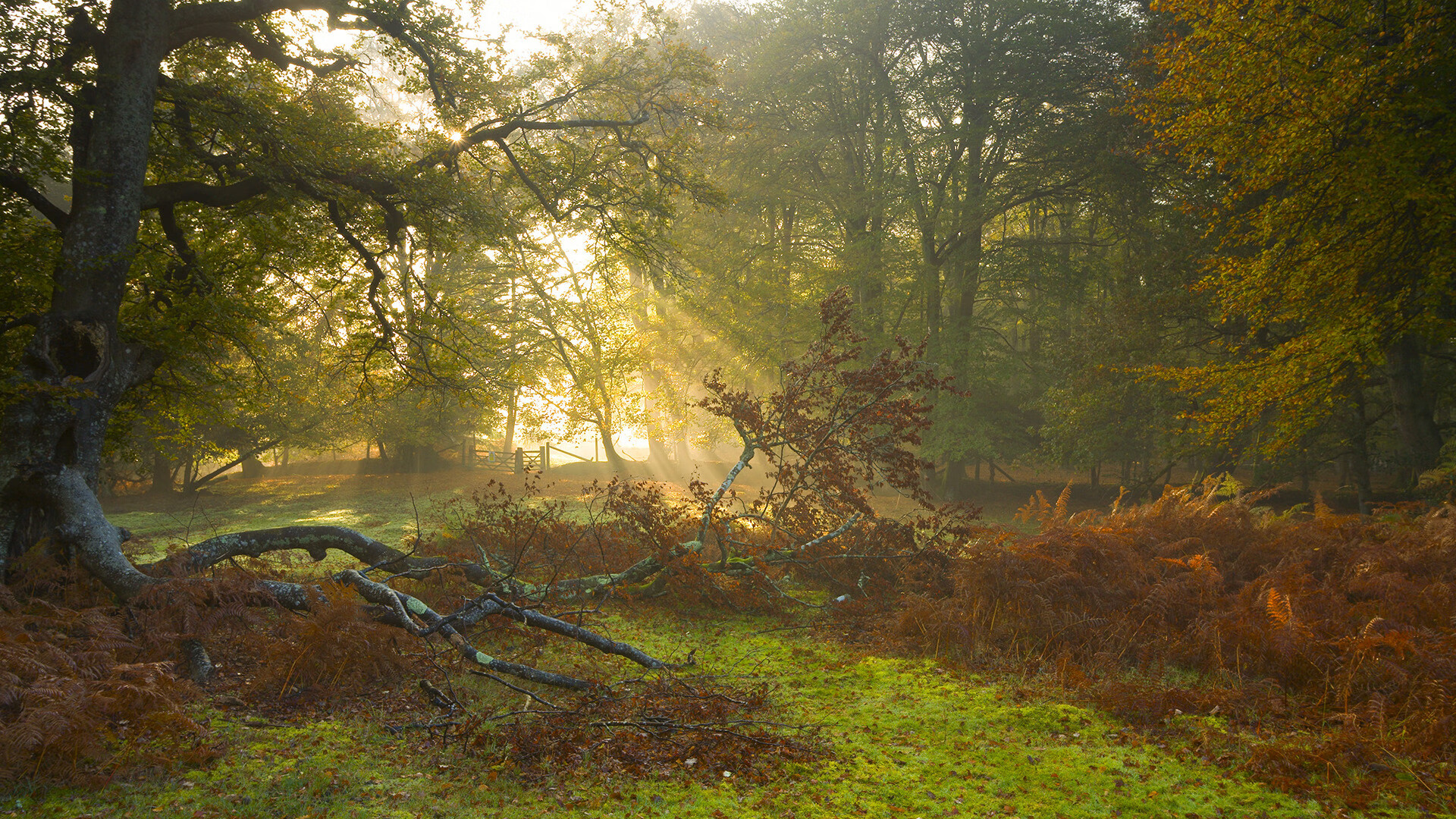 kaiyun登录入口-英雄联盟解说评述：赛事精彩瞬间与战术深度分析，lol比赛解说经典