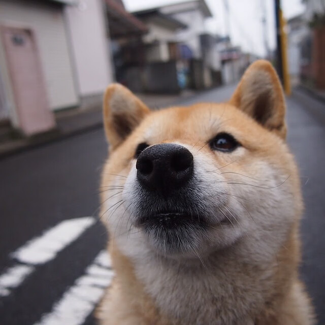 运动员的比赛总结：成功经验与不足分析，运动员比赛成功应具备哪些心理条件