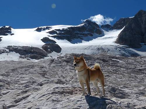 KAIYUNAPP-中国沙排组合夺冠，世界巡回赛中表现亮眼，全国沙排巡回赛总决赛直播