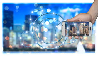 开云入口-高校运动训练数据智能分析技术，高校运动项目的训练设置