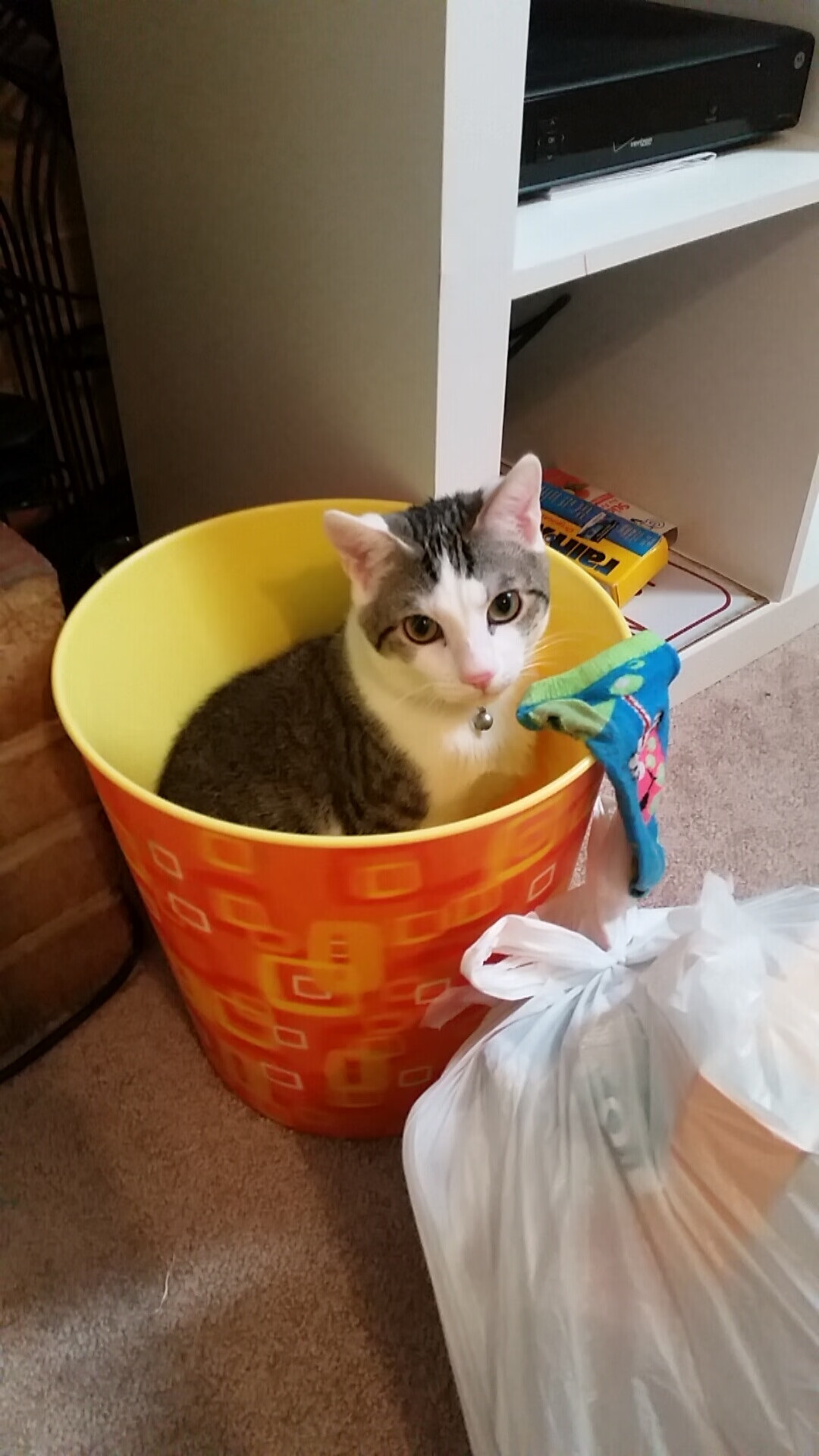 开云·Kaiyun网页版-五大联赛是否通过反向组织传导打乱对手站位，五大联赛传控球队