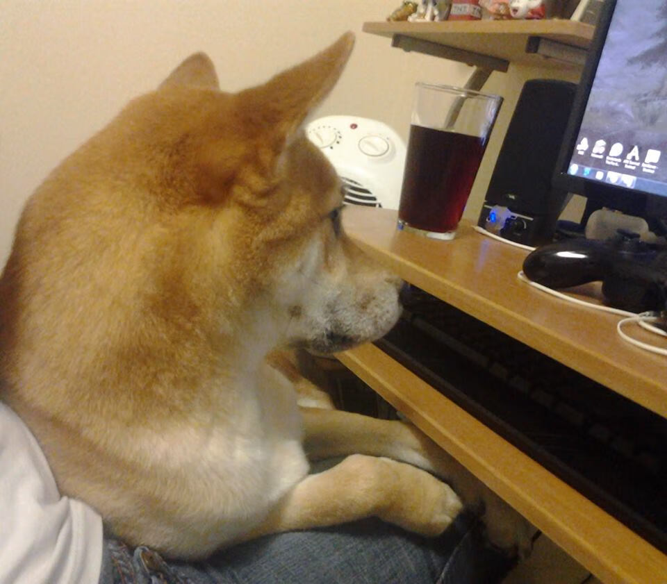 体育新闻中心推动体育内容原创版权保护机制,体育新闻杂志