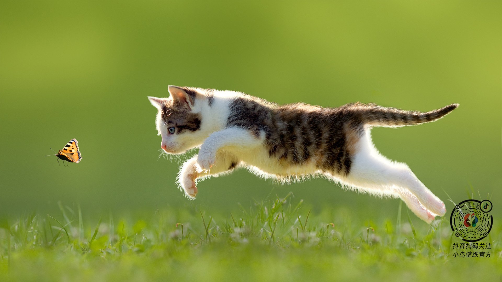 切尔西多场比赛零封对手,防守能力强劲,切尔西全队