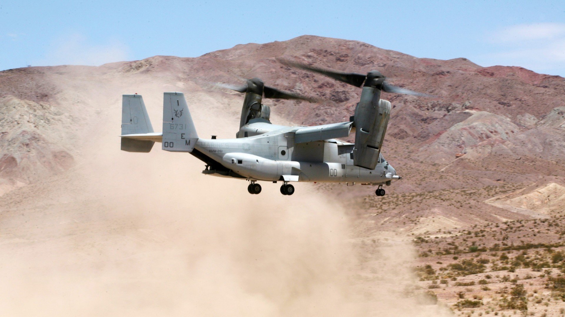 开云官网APP下载-塔特发挥稳定，袋鼠队的中场核心始终如一，塔城袋鼠